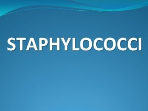 STAPHYLOCOCCI INTRODUCTION Staphylococci are Grampositive spherical bacteria arranged