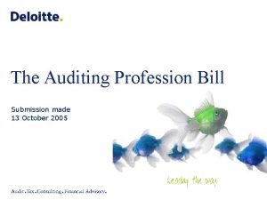 The Auditing Profession Bill Submission made 13 October