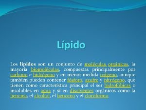 Lpido