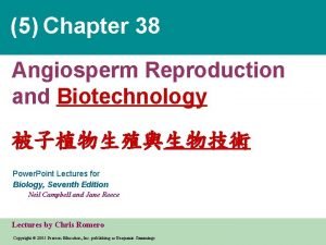 5 Chapter 38 Angiosperm Reproduction and Biotechnology Power