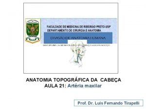 ANATOMIA TOPOGRFICA DA CABEA AULA 21 Artria maxilar