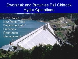 Dworshak and Brownlee Fall Chinook Hydro Operations Greg