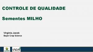 CONTROLE DE QUALIDADE Sementes MILHO Virginia Jacob Bayer