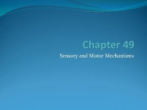 Chapter 49 Sensory and Motor Mechanisms Sensory receptors