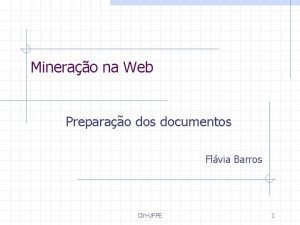 Minerao na Web Preparao dos documentos Flvia Barros