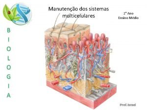 Manuteno dos sistemas multicelulares 2 Ano Ensino Mdio