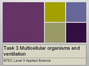 Task 3 Multicellular organisms and ventilation BTEC Level