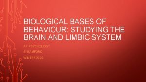 BIOLOGICAL BASES OF BEHAVIOUR STUDYING THE BRAIN AND