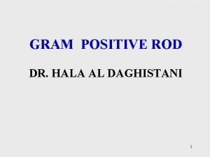 GRAM POSITIVE ROD DR HALA AL DAGHISTANI 1