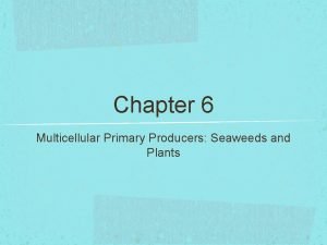 Chapter 6 Multicellular Primary Producers Seaweeds and Plants