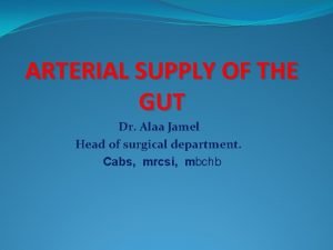 ARTERIAL SUPPLY OF THE GUT Dr Alaa Jamel