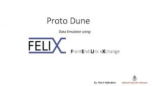 Proto Dune Data Emulator using Front End LInk
