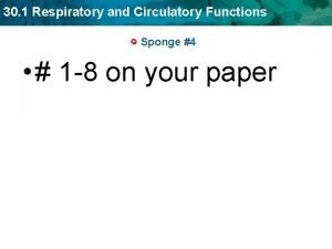 Sponge circulation