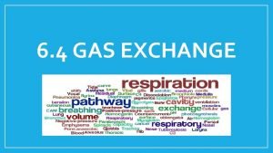 6 4 GAS EXCHANGE Understanding Ventilation maintains concentration