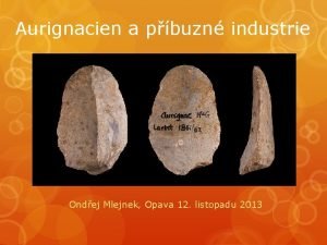 Aurignacien a pbuzn industrie Ondej Mlejnek Opava 12