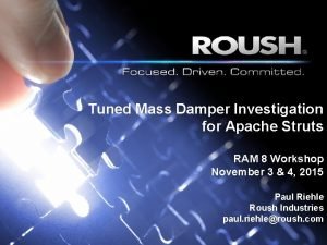 Tuned Mass Damper Investigation for Apache Struts RAM