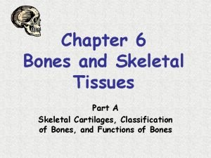 Chapter 6 Bones and Skeletal Tissues Part A