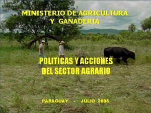 MINISTERIO DE AGRICULTURA Y GANADERIA POLITICAS Y ACCIONES