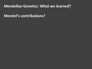 Mendelian Genetics What we learned Mendels contributions Mendelian