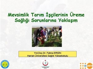 Mevsimlik Tarm ilerinin reme Sal Sorunlarna Yaklam Yrd