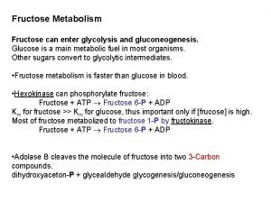Fructose Metabolism Fructose can enter glycolysis and gluconeogenesis