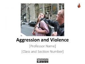 Aggression and Violence Professor Name Class and Section
