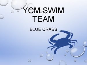 Ycm blue crabs