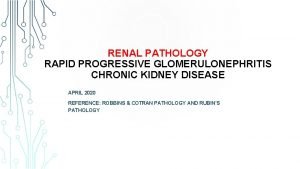 RENAL PATHOLOGY RAPID PROGRESSIVE GLOMERULONEPHRITIS CHRONIC KIDNEY DISEASE