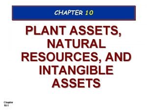 Plant assets natural resources and intangible assets