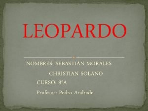 LEOPARDO NOMBRES SEBASTIN MORALES CHRISTIAN SOLANO CURSO 8A