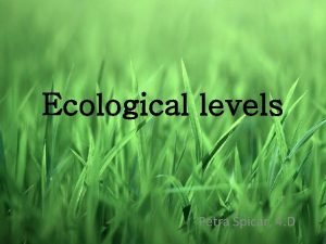 Ecological levels Petra picar 4 D Scientists work