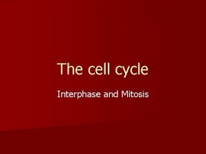 The cell cycle Interphase and Mitosis Cell Cycle