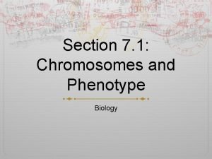 Section 1 chromosomes and phenotype