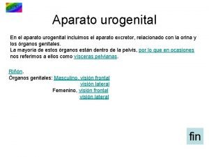 Aparato urogenital En el aparato urogenital incluimos el