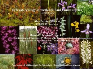 EFB 496 Ecology of Wetland Plant Communities 3