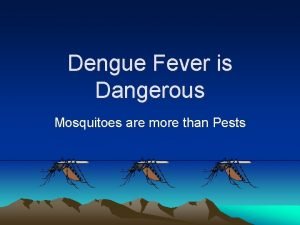 Dengue Fever is Dangerous Mosquitoes are more than