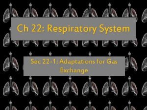 Anatomy of the upper respiratory tract Anatomy of the upper respiratory tract