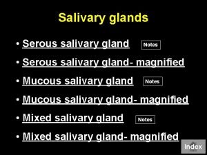 Salivary glands Serous salivary gland Notes Serous salivary