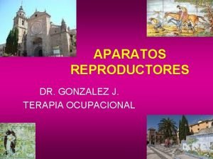 APARATOS REPRODUCTORES DR GONZALEZ J TERAPIA OCUPACIONAL APARATO