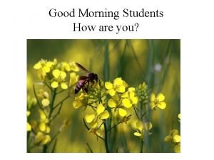 Good morning students how are you today