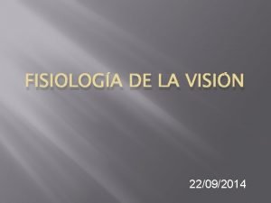 Conos y bastones de la retina