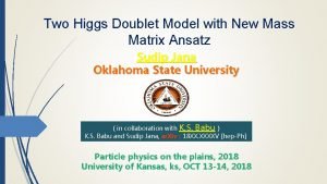 Two Higgs Doublet Model with New Mass Matrix