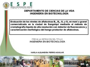 DEPARTAMENTO DE CIENCIAS DE LA VIDA INGENIERA EN