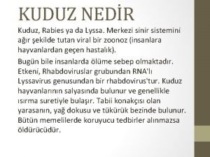 KUDUZ NEDR Kuduz Rabies ya da Lyssa Merkezi