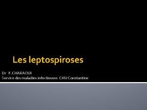 Les leptospiroses Dr K CHARAOUI Service des maladies