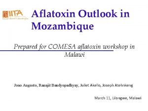 Aflatoxin Outlook in Mozambique Prepared for COMESA aflatoxin