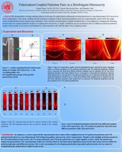 PolarizationCoupled Polariton Pairs in a Birefringent Microcavity Yinglei