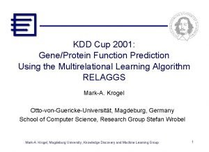 KDD Cup 2001 GeneProtein Function Prediction Using the