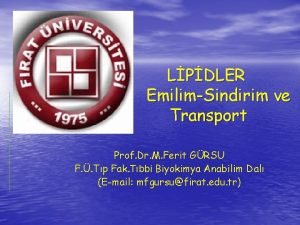 LPDLER EmilimSindirim ve Transport Prof Dr M Ferit
