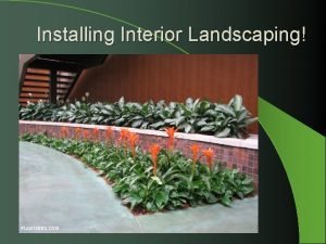 Installing Interior Landscaping Next Generation Science Common Core